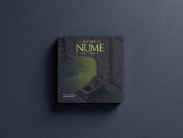 Book Preview - Nume
